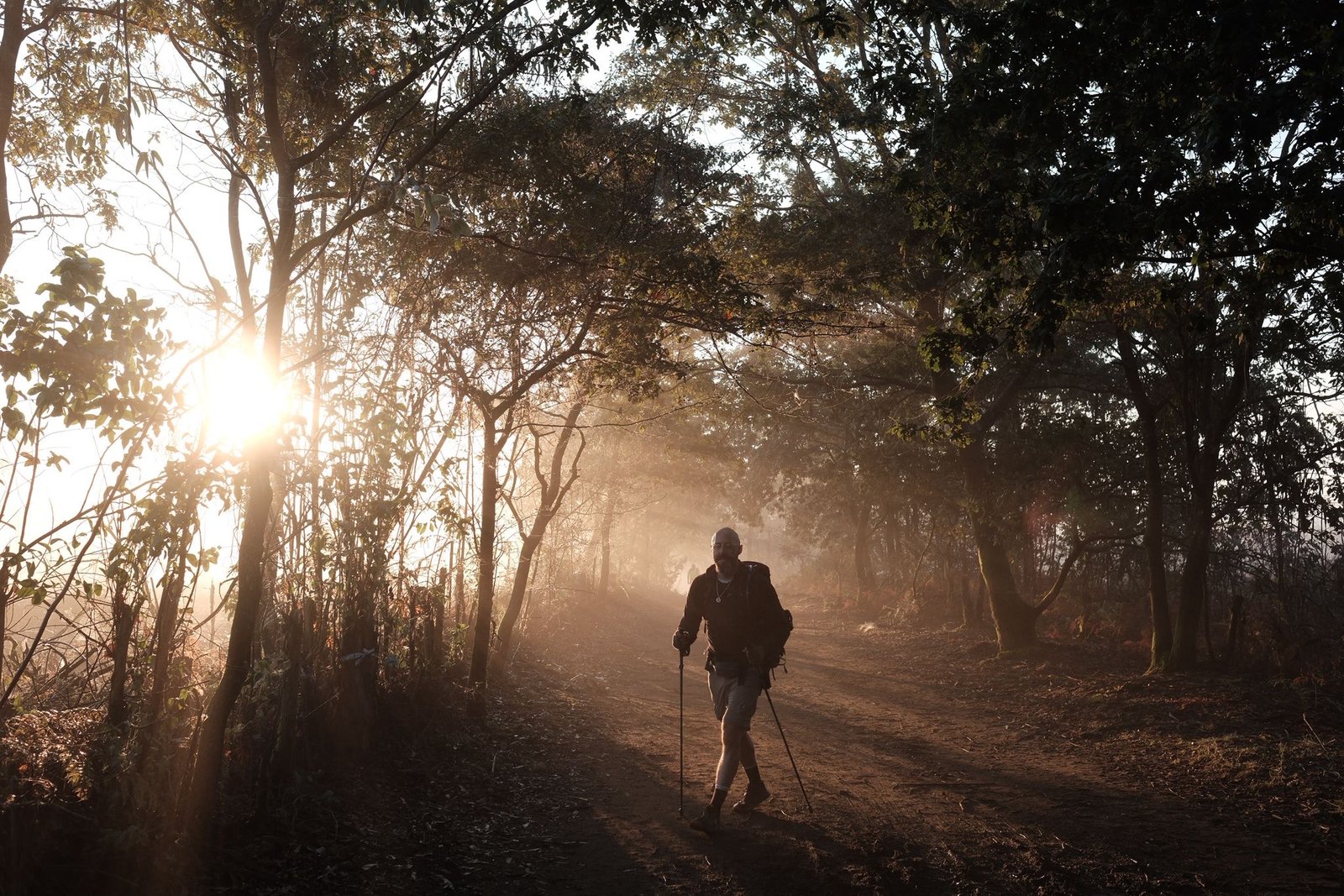 Walking the Camino at sunrise