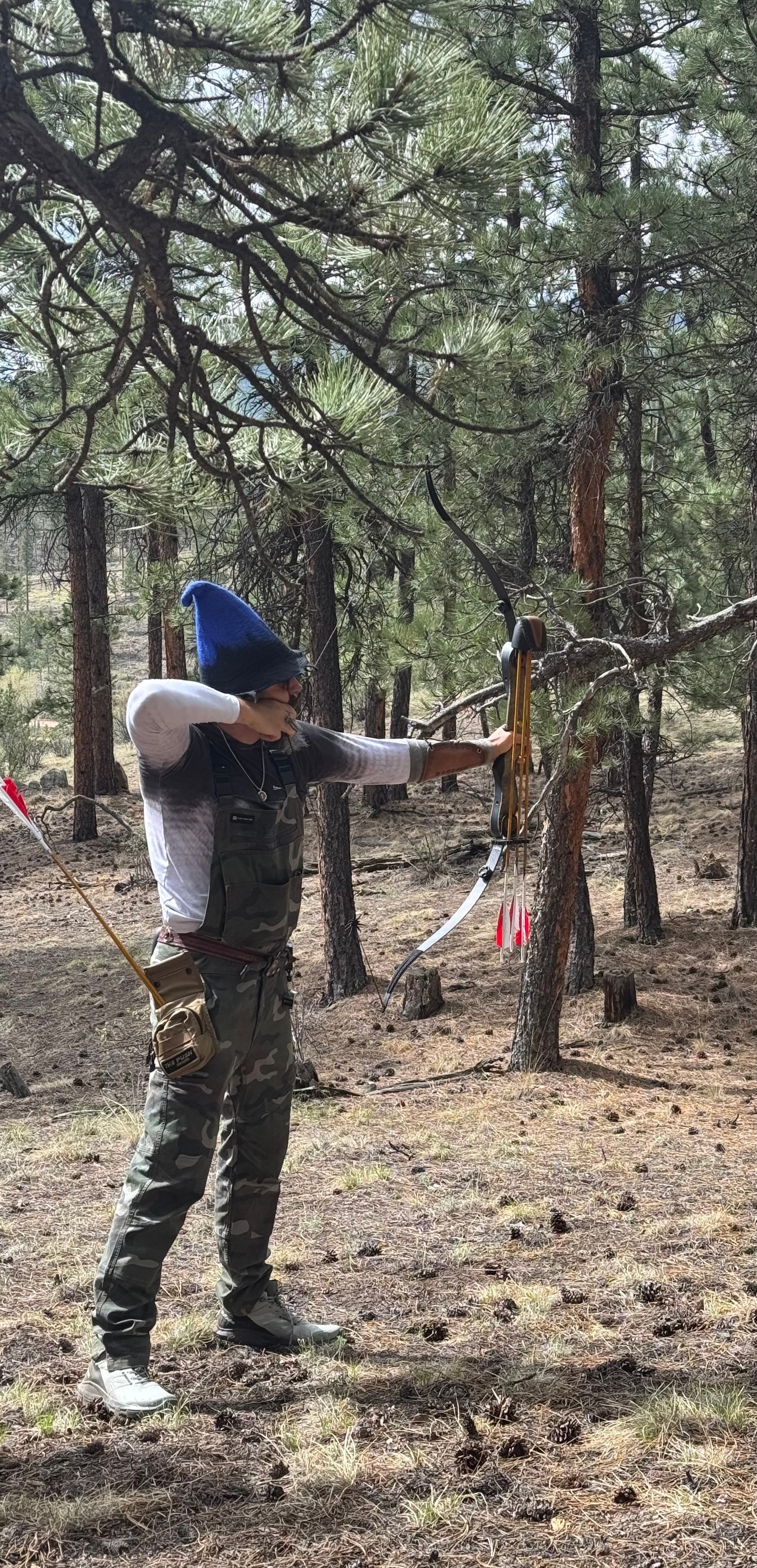 Archery practice in the pines