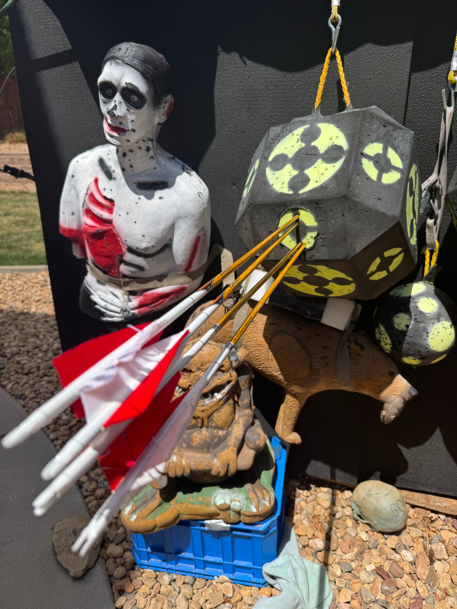 Backyard 3D target setup