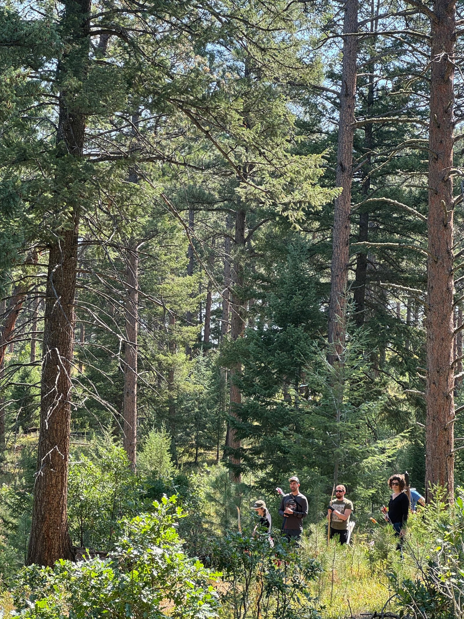 Archers in the Colorado forest
